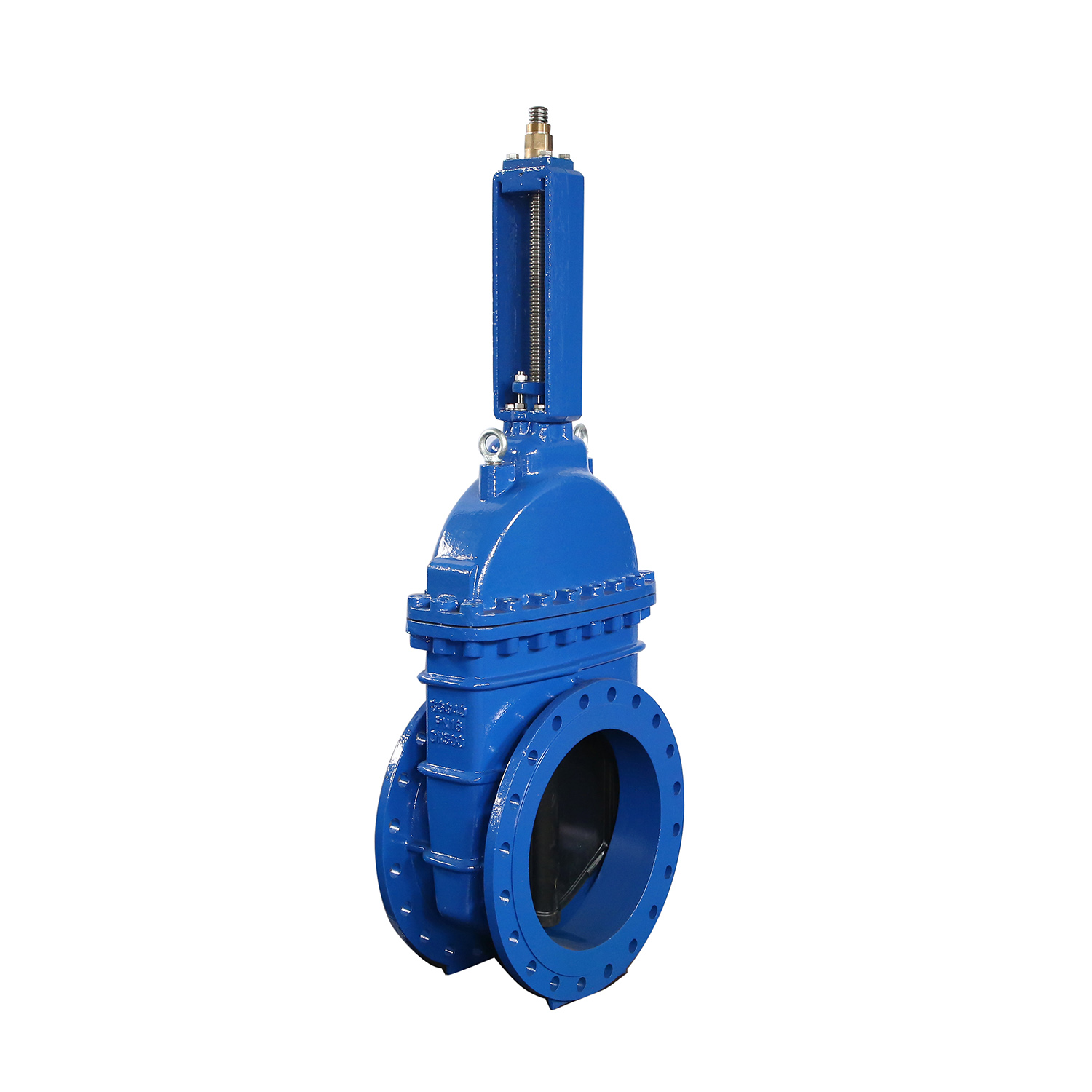 17.Soft seal ( resilient seat) gate valve