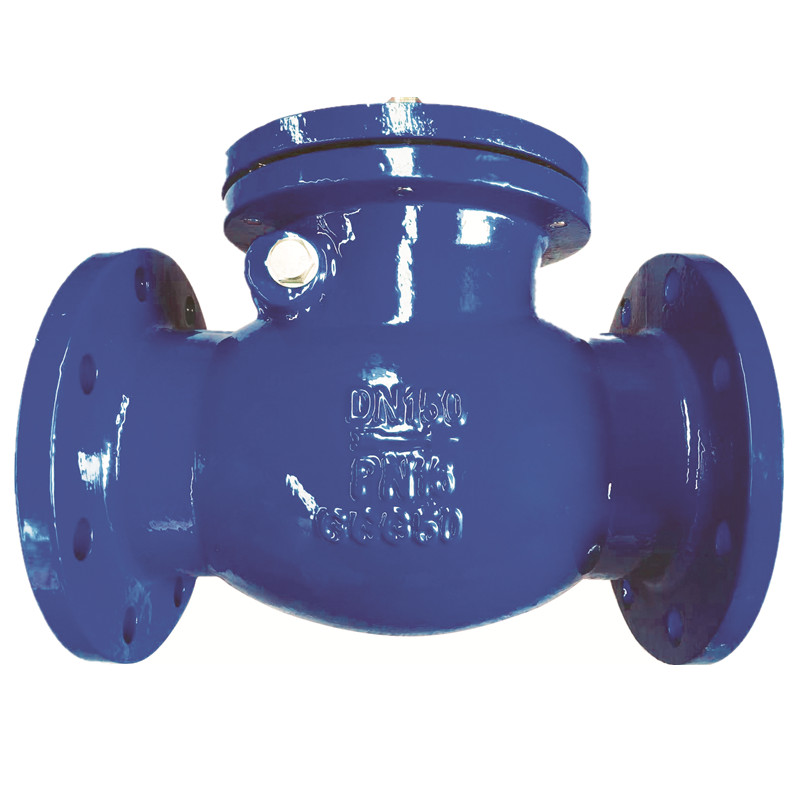 19.swing check valve